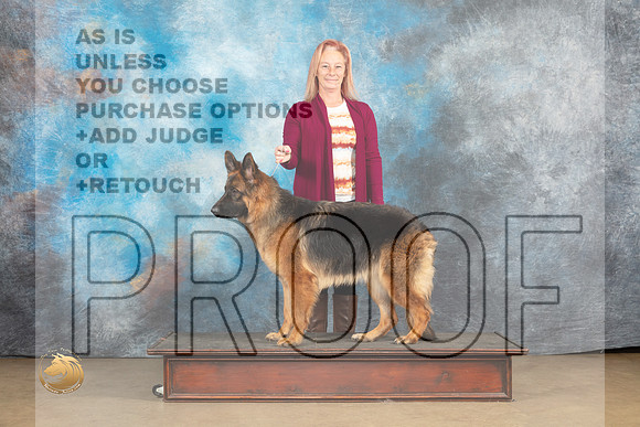 German Shepherd Dog #Zena_MJ_9670_UKCLvwfeb23_HR3