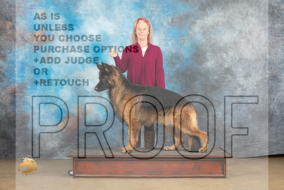 German Shepherd Dog #Zeus Christina Eddins_MJ_9655_UKCLvwfeb23_HR3