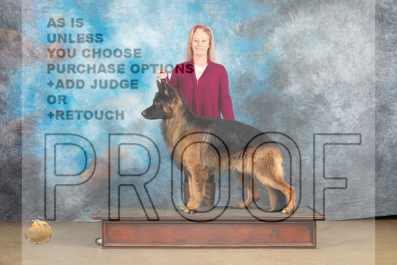 German Shepherd Dog #Zeus Christina Eddins_MJ_9656_UKCLvwfeb23_HR3