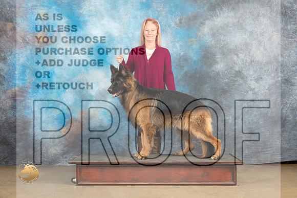 German Shepherd Dog #Zeus Christina Eddins_MJ_9658_UKCLvwfeb23_HR3
