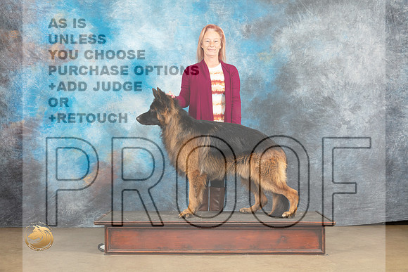 German Shepherd Dog #Zeus Christina Eddins_MJ_9659_UKCLvwfeb23_HR3