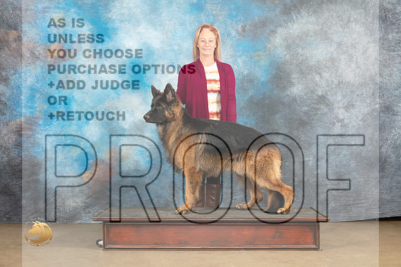 German Shepherd Dog #Zeus Christina Eddins_MJ_9661_UKCLvwfeb23_HR3