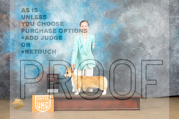 Pembroke Welsh Corgi #306 Sun G2 Judge Rick Gann_MJ_9758_UKCLvwfeb23_HR3