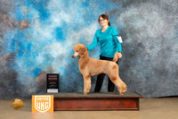 Poodle Std #224 Sun G2 Judge Roland Pelland