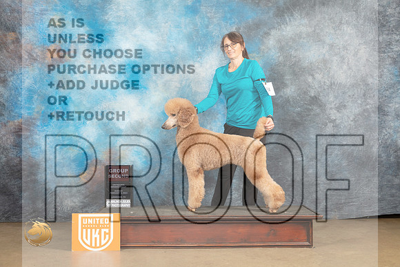Poodle Std #224 Sun G2 Judge Roland Pelland_MJ_9761_UKCLvwfeb23_HR3