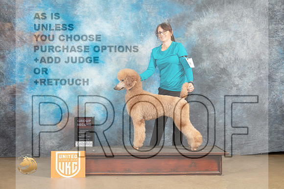 Poodle Std #224 Sun G2 Judge Roland Pelland_MJ_9762_UKCLvwfeb23_HR3