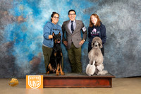 Poodle Std #249 Sun
