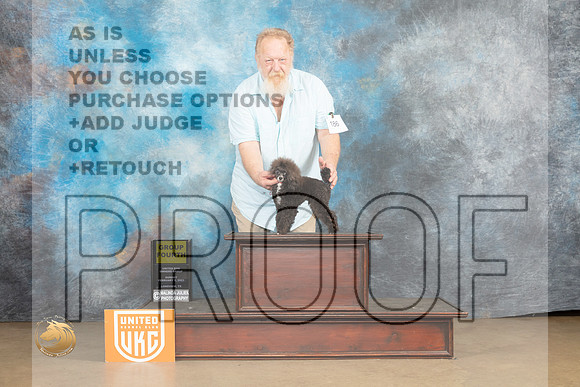 Poodle Toy MC #188 Sun G4 Judge Tony Raposo_MJ_9771_UKCLvwfeb23_HR3