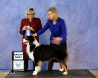 Australian Shepherd Sat S2 G1 Judy Baker Felicity Trammell Judge D Mitchell LR Hutto Feb 2013