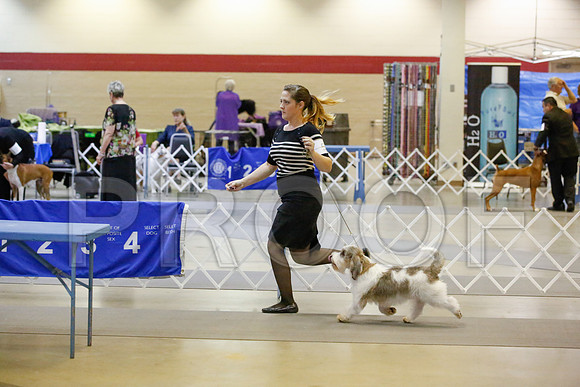 _JN_9634-AmarilloSept2014-HR3