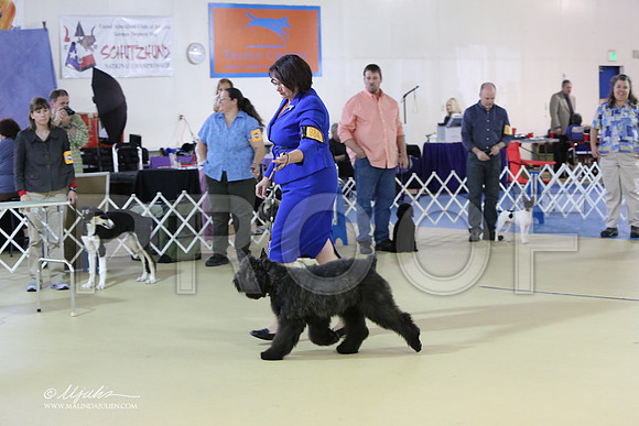 BISpup-4521-LR