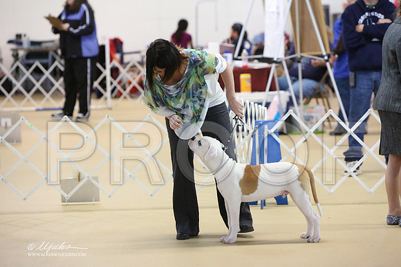 BISpup-9870-LR