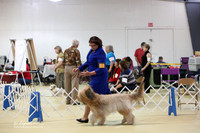 Briard Sat S1 Ring LR Hutto Feb 2013