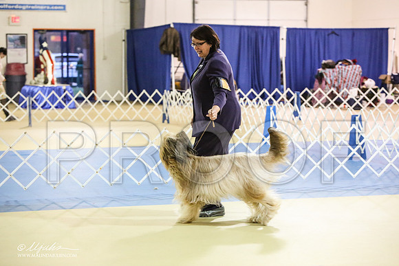 briard-1827-LR