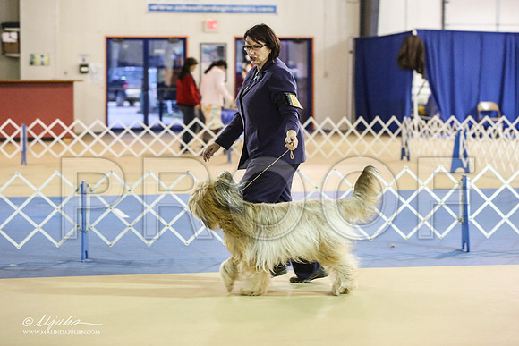 briard-1830-LR