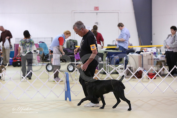 Cane-0349-LR