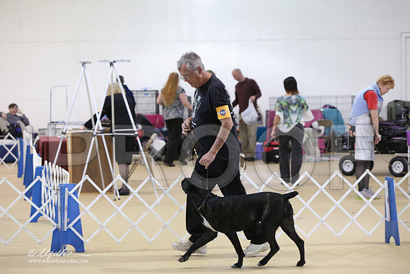 Cane-0354-LR