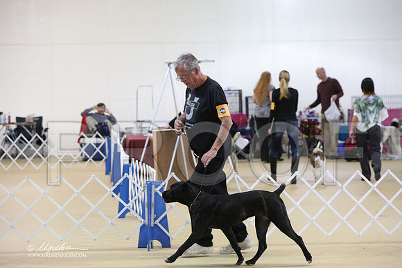 Cane-0356-LR