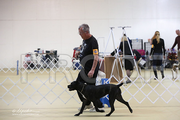 Cane-0358-LR