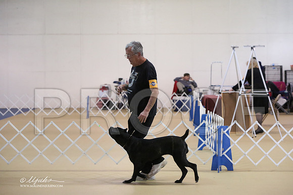 Cane-0359-LR