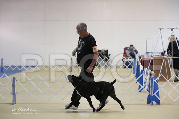 Cane-0360-LR