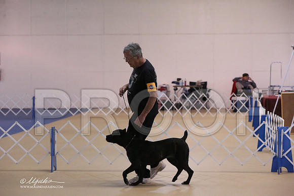 Cane-0361-LR