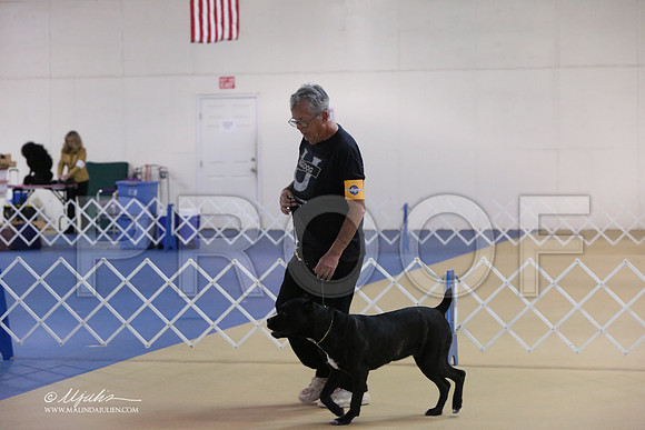 Cane-0366-LR