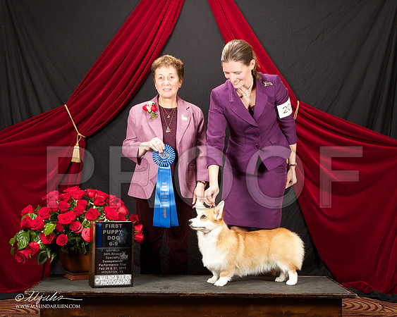_ST_3454-HstnCorgiFeb2015-HR3