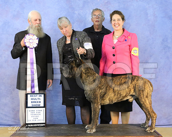 Cane-6872-LR