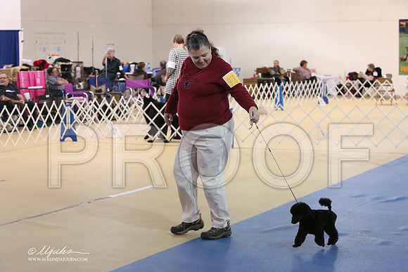 CompGrp-9207-LR