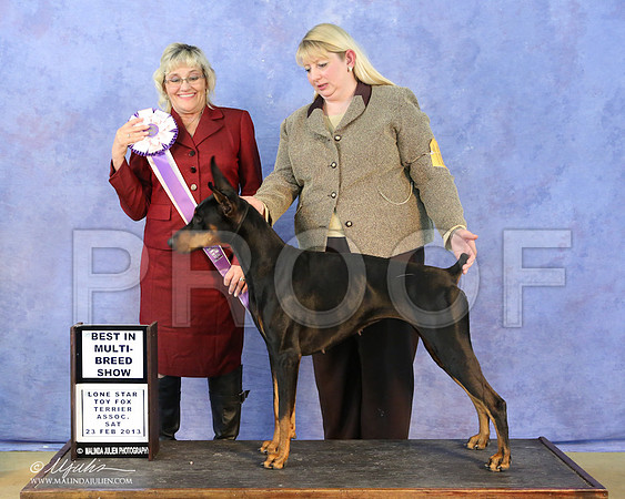dobe-5856-LR