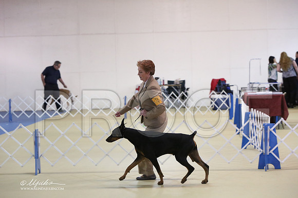 Dobe-0427-LR
