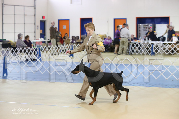 Dobe-0437-LR