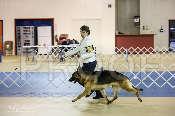 GSD-1862-LR