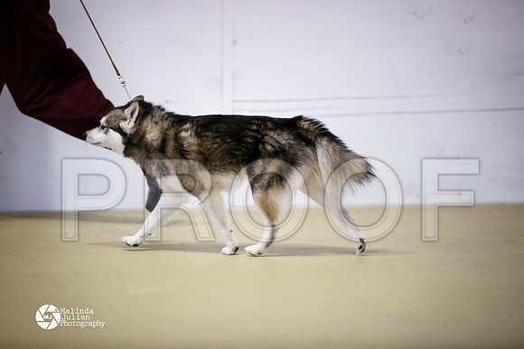 AKK-9145-HtoJan14-HR