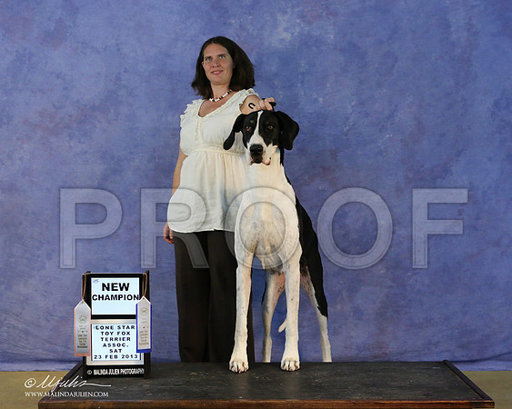 Dane-5650-LR