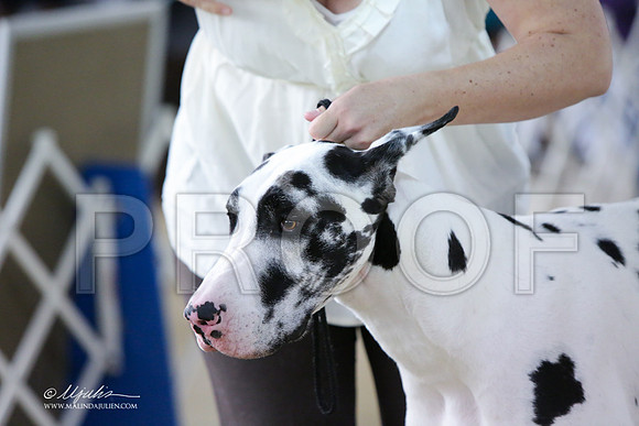 Dane-1925-LR