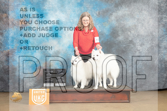 American Eskimo #1138 Sun VBIS Judge Rick Gann_MJ_9940_UKCLvwfeb23_HR3