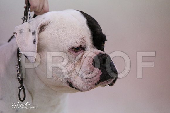 GuardGrp-0561-LR