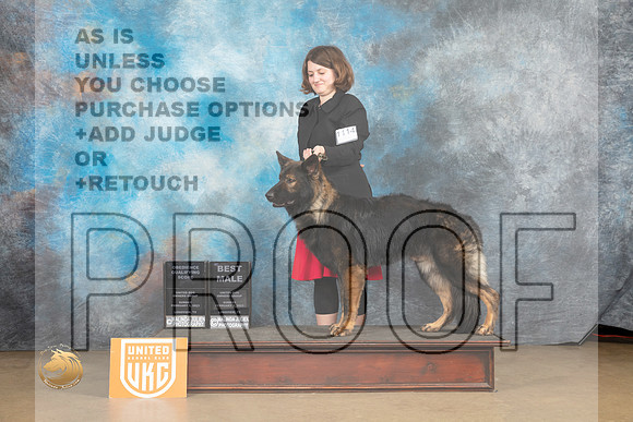 German Shepherd Dog #1114 Sun BM Judge Rick Gann_MJ_9899_UKCLvwfeb23_HR3