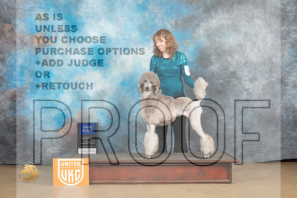 Poodle Std #249 Sun 1st Judge Tony Roposo_MJ_9857_UKCLvwfeb23_HR3