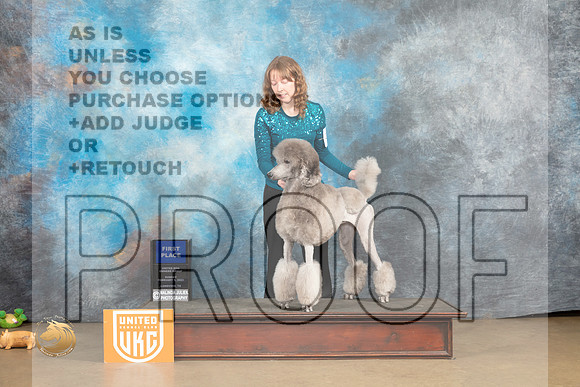 Poodle Std #249 Sun 1st Judge Tony Roposo_MJ_9865_UKCLvwfeb23_HR3