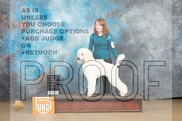 Poodle Std #250 Sun PBOB Judge Roland Pelland_MJ_9795_UKCLvwfeb23_HR3