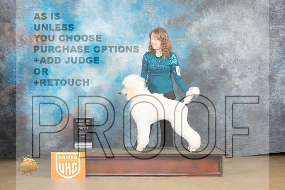 Poodle Std #250 Sun PBOB Judge Roland Pelland_MJ_9798_UKCLvwfeb23_HR3