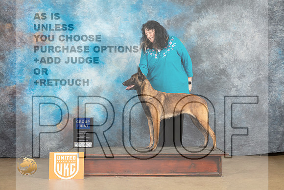 Belgian Malinois #128 Sun BOBG1 Judge Debbie Mitchell_MJ_9986_UKCLvwfeb23_HR3