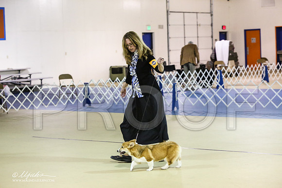 corgiPem-2171-LR