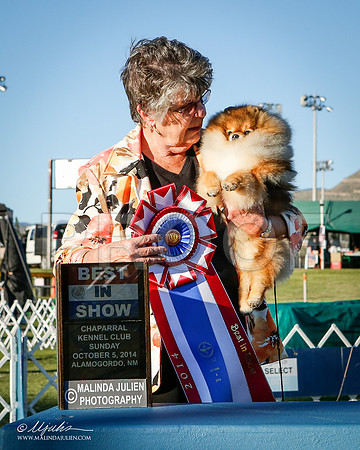 _ST_3595-2-AlamogordoOct2014-HR3