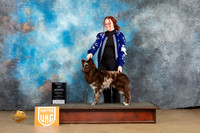 Mudi #181 Sun BOB Judge Debbie Mitchell