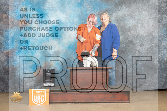 Poodle Toy MC #1103 Sun PBIS Judge Rick Gann_MJ_9994_UKCLvwfeb23_HR3