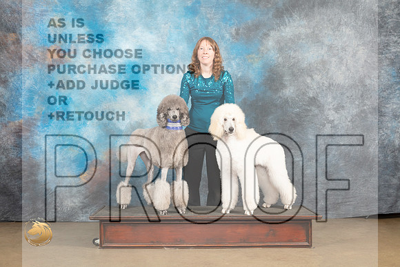 Poodles Std #250 Sun_MJ_0001_UKCLvwfeb23_HR3